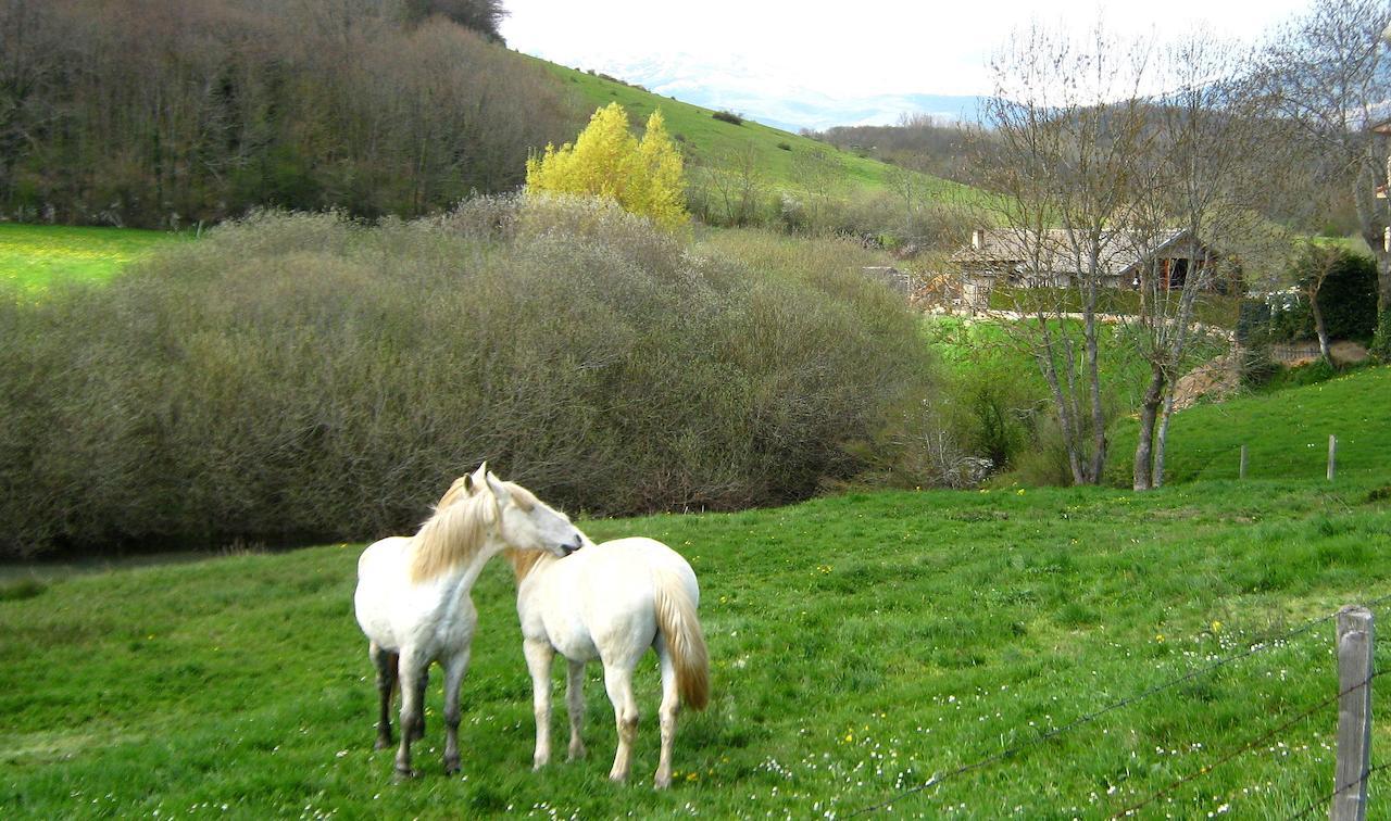 Auberge de jeunesse Alojamiento Rural Las Indianas à Villar  Extérieur photo